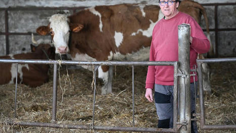 En pleine crise agricole, la colère d’un éleveur, défenseur du bio | Actualité Bétail | Scoop.it
