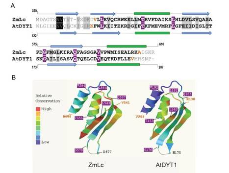 Relationship between BIF and ACT domains - Letter and Response | The Plant Cell | Scoop.it