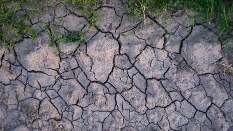 Risques climatiques: la région des Hauts-de-France parmi les territoires les plus exposés au monde | Vers la transition des territoires ! | Scoop.it