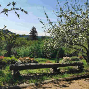 Le Printemps, saison idéale pour découvrir les Cévennes | Cévennes Infos Tourisme | Scoop.it