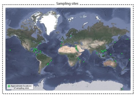 Insights into the Cultured Bacterial Fraction of Corals | iBB | Scoop.it