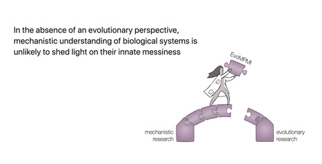 Medium: Think. Evolutionary. Transitions. (2024) | Publications | Scoop.it