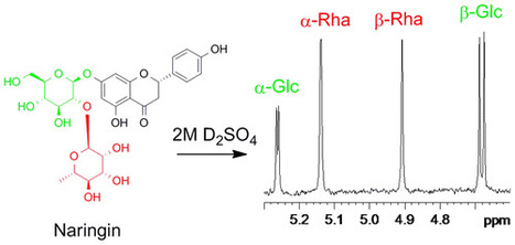 NMR Tube Degradation Method for Sugar Analysis of Glycosides - Journal of Natural Products | Natural Products Chemistry Breaking News | Scoop.it