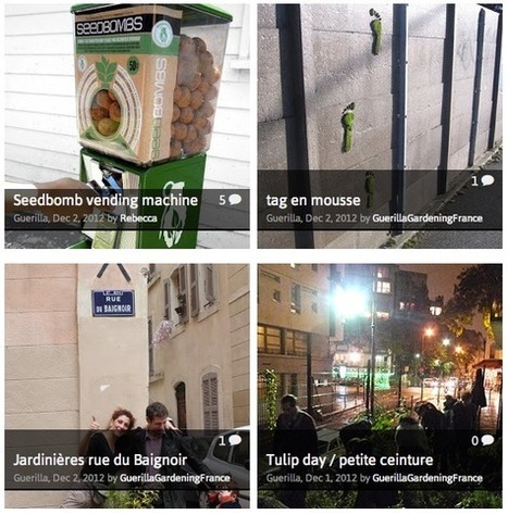 Seedbomb, le tableau de chasse de la nature en ville | Urbanisme vivant | Scoop.it