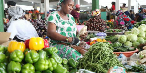 SÉCURITÉ ALIMENTAIRE : les économies émergentes continueront de tirer les marchés agricoles au cours de la prochaine décennie | MED-Amin network | Scoop.it