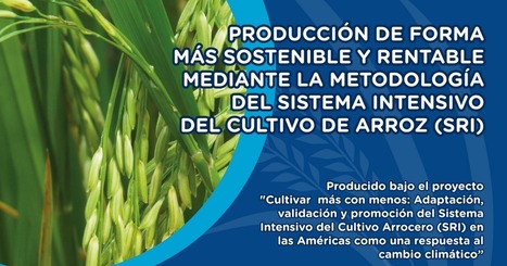 LATIN AMERICA: Sistema Intensivo del Cultivo de Arroz (SRI) - Cartilla Para Productores | SRI Global News: February - April 2024 **sririce -- System of Rice Intensification | Scoop.it