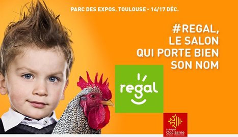 Dix Bigourdans s'exposent au salon REGAL de Toulouse | Vallées d'Aure & Louron - Pyrénées | Scoop.it