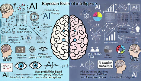 CUED: Nuestro cerebro, ¿funciona de forma probabilística? | Educación a Distancia y TIC | Scoop.it