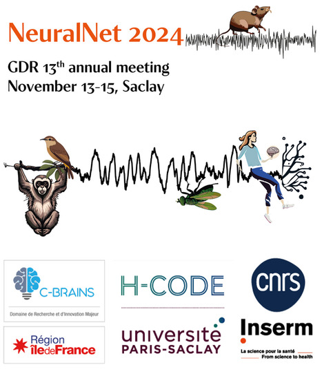 SAVE THE DATE ! NeuralNet 2024 takes place at NeuroPSI on 13-15 November 2024 | Life Sciences Université Paris-Saclay | Scoop.it