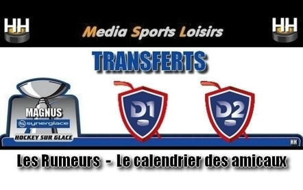 Hockey sur glace : Mouvements dans les clubs du 17 Juillet 2024. - Transferts 2024 - 2025 | REVUE DU WEB - CERGY | Scoop.it