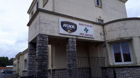 Pays Basque: Arcadie viandes promet plus d'emploi et de qualité à l'abattoir d'Anglet | Actualité Bétail | Scoop.it