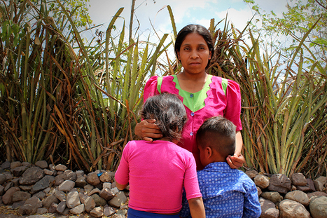 El fracaso de Hambre Cero: la lucha fallida contra la desnutrición infantil en Guatemala | Evaluación de Políticas Públicas - Actualidad y noticias | Scoop.it