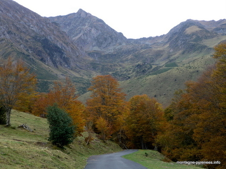 Les ors de la vallée - Montagne Pyrénées | Vallées d'Aure & Louron - Pyrénées | Scoop.it