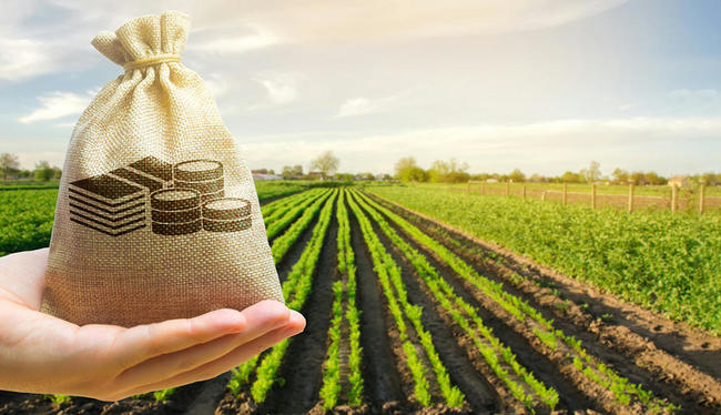 Agriculture bio : feu vert de l'Europe pour 34 millions d’euros d’aides supplémentaires