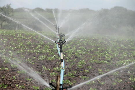 L'ALGÉRIE s’investit fortement dans une agriculture innovante en termes d’irrigation et d’économie d’eau  | MED-Amin network | Scoop.it