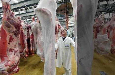 Reprise de l'abattoir de Saint-Viance : le groupe coopératif agricole Capel soulagé mais vigilant | Actualité Bétail | Scoop.it