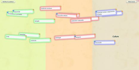 Nature/culture. Un petit exercice de classification de notions sur LearningApps.org | DIOTIME 2.0. Infos | Scoop.it