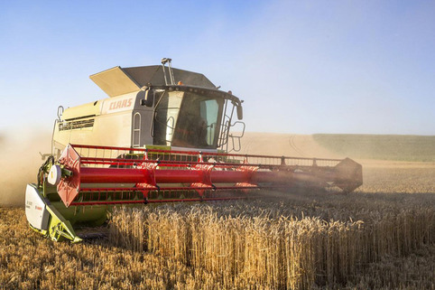 Récolte de blé - la France pleure, le reste du monde rit | Veille territoriale AURH | Scoop.it