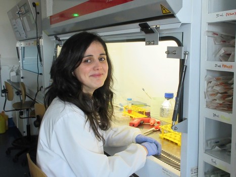 Teresa Silva Defends PhD Thesis in Bioengineering (Cell Therapies and Regenerative Medicine) | iBB | Scoop.it