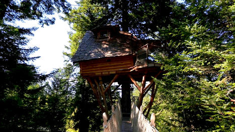 Sur un arbre perché - Rêves de cabanes | ARTE | La SELECTION du Web | CAUE des Vosges - www.caue88.com | Scoop.it