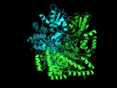 Enzymatic Synthesis of Chiral Amino-Alcohols in a Continuous-Flow Microreactor System | iBB | Scoop.it