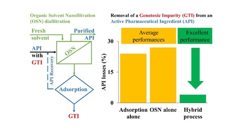 Mitigation of Active Pharmaceutical Ingredient Losses during Genotoxin Removal | iBB | Scoop.it