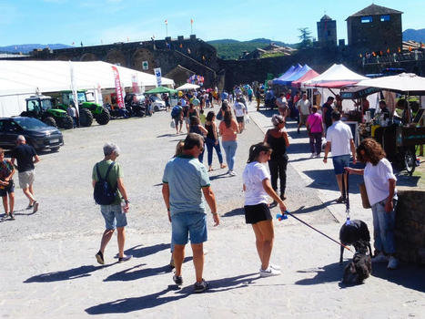 Aínsa revive su histórica identidad comercial con la Expoferia de Sobrarbe | Vallées d'Aure & Louron - Pyrénées | Scoop.it