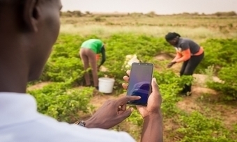 TOGO: Agriculture: Voici pour vous, la nouvelle version de Simulgames | SRI Global News: February - April 2024 **sririce -- System of Rice Intensification | Scoop.it