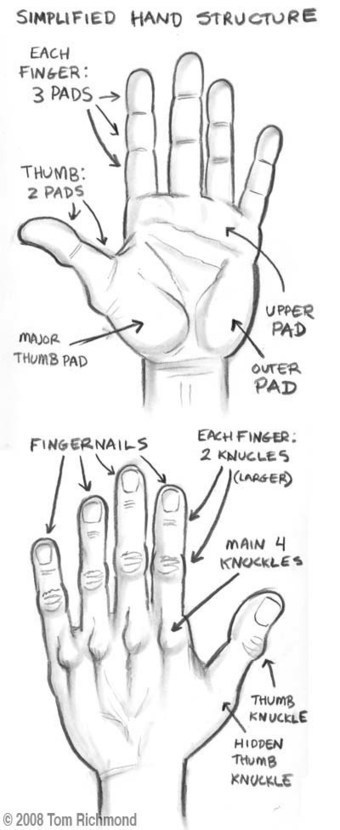 Hand Drawing Tutorial | Drawing and Painting Tutorials | Scoop.it