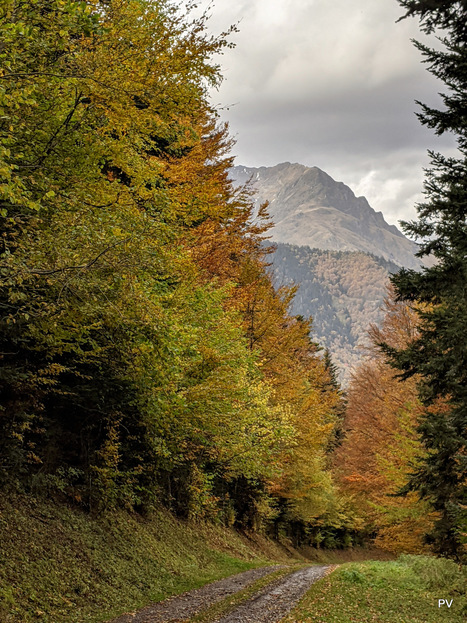 Couvre-feuille en Aure | Vallées d'Aure & Louron - Pyrénées | Scoop.it