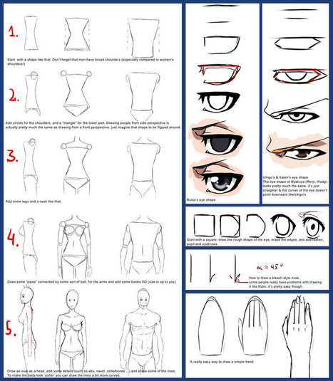 Male+Female Bodies | Drawing and Painting Tutorials | Scoop.it