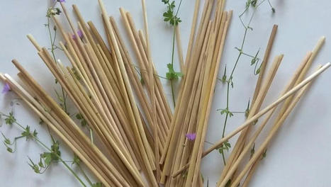 Des pailles en paille de seigle bio, réutilisables et compostables | Eco-conception | Scoop.it