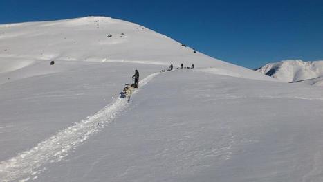 Musher sur les crêtes d'Azet - Philippe Barrere's Photos | Facebook | Vallées d'Aure & Louron - Pyrénées | Scoop.it