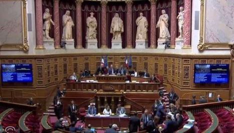 Budget rectificatif : les sénateurs renforcent les mesures de soutien aux collectivités | Veille juridique du CDG13 | Scoop.it