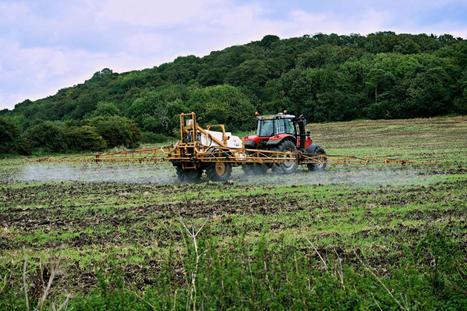 Pesticides : le gouvernement lance la réforme d'une formation des agriculteurs | Paysage - Agriculture | Scoop.it