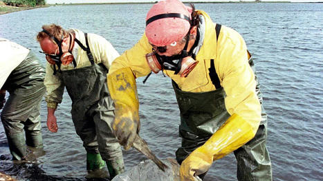 Spanish authorities seek damages from Swedish mining company over major toxic spill 25 years ago / le 04.07.2023 | Pollution accidentelle des eaux par produits chimiques | Scoop.it