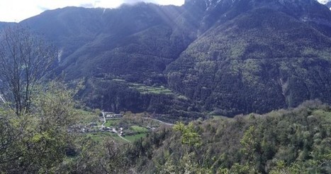 La vallée de Chistau défend l'élevage extensif  | Vallées d'Aure & Louron - Pyrénées | Scoop.it