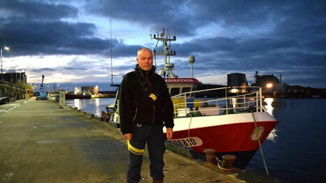 Quand la ville dort, au port de pêche de Lorient, la criée s’agite | La Touline - | Scoop.it