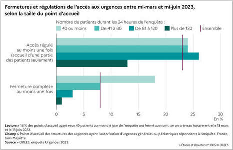 Urgences hospitalières en 2023 : quelles organisations pour la prise en charge des patients ? - Direction de la recherche, des études, de l'évaluation et des statistiques | Actualités sanitaires et sociales - Croix Rouge Compétence - site Mantes La Jolie | Scoop.it