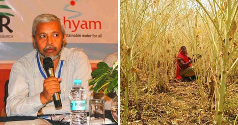 INDIA: Scientist Helps 50k Farmers Switch To 'Madagascar Method', Increase Yield By 50% | SRI Global News: February - April 2024 **sririce -- System of Rice Intensification | Scoop.it