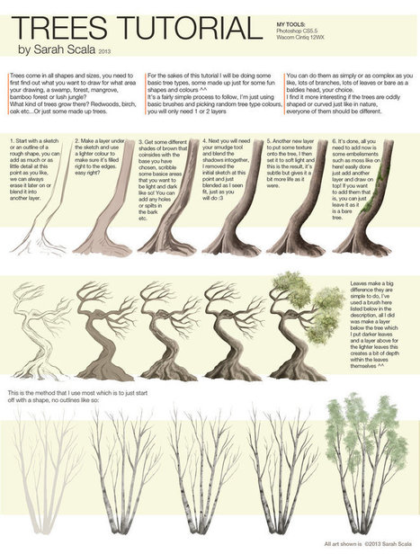 Trees Tutorial - Reference for Drawing Trees | Drawing References and Resources | Scoop.it
