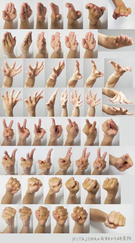 Hand And Fingers Drawing Reference Guide | Drawing References and Resources | Scoop.it