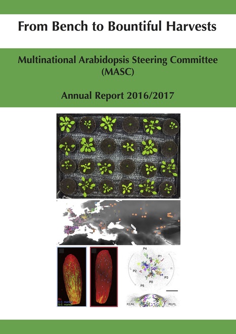 The last (2016-2017) international report on Arabidopsis research  can be downloaded here... | Life Sciences Université Paris-Saclay | Scoop.it