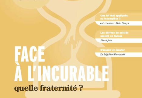 France Forum n°415 (Printemps 2024) : Face à l'incurable, quelle fraternité ? | Les Livres de Philosophie | Scoop.it