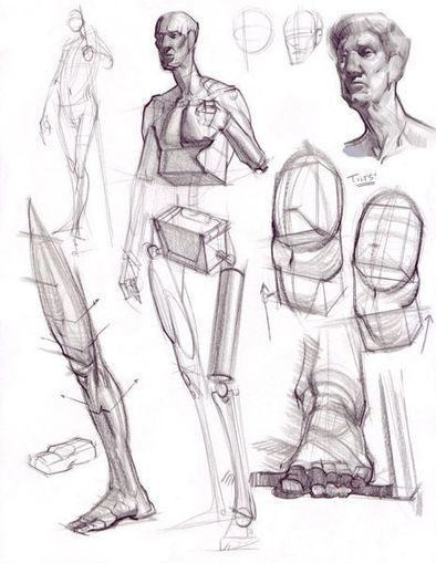 Analytical Figure Drawing Reference Guide | Drawing References and Resources | Scoop.it