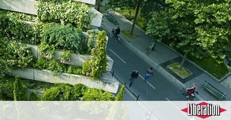 Villes et climat : promotion canopée | Vers la transition des territoires ! | Scoop.it