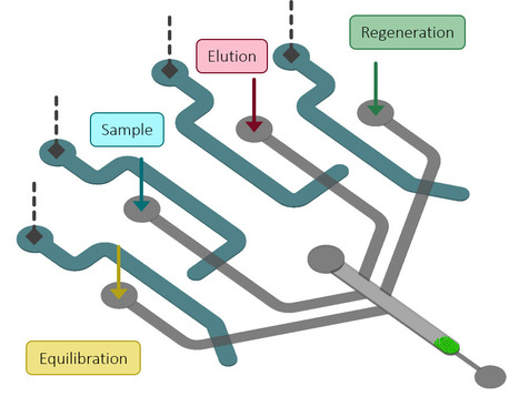 Chromatography-on-a-Chip | iBB | Scoop.it