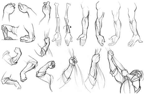 Hand Drawing Reference Guide | Drawing References and Resources | Scoop.it