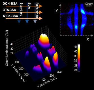 Protein Microarray-on-a-chip Coupled to Micro Photodetectors for Point-of-use Mycotoxin Detection | iBB | Scoop.it