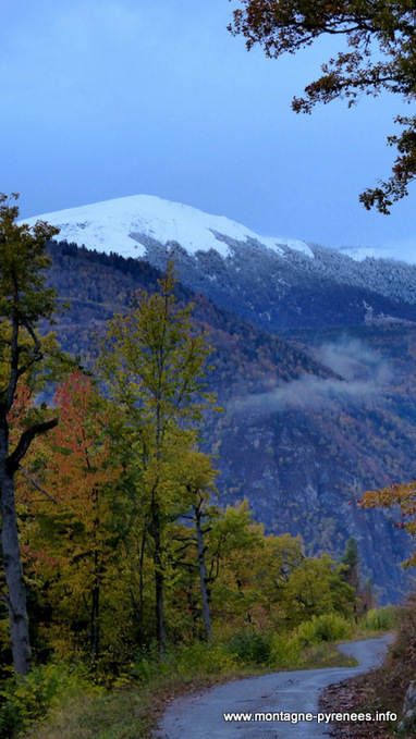 Sur les hauts de Camparan - Montagne Pyrénées | Vallées d'Aure & Louron - Pyrénées | Scoop.it